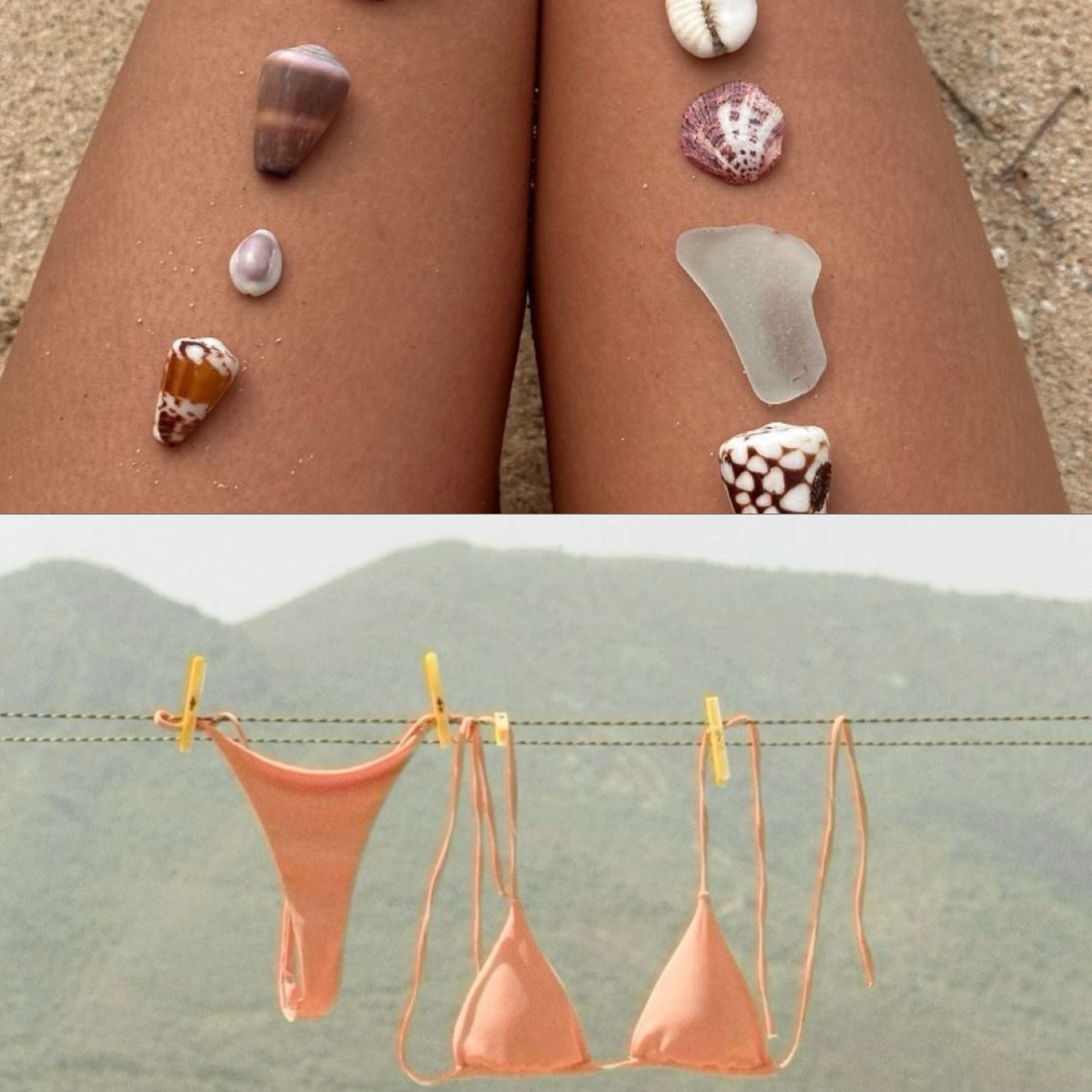 Collar Conchitas