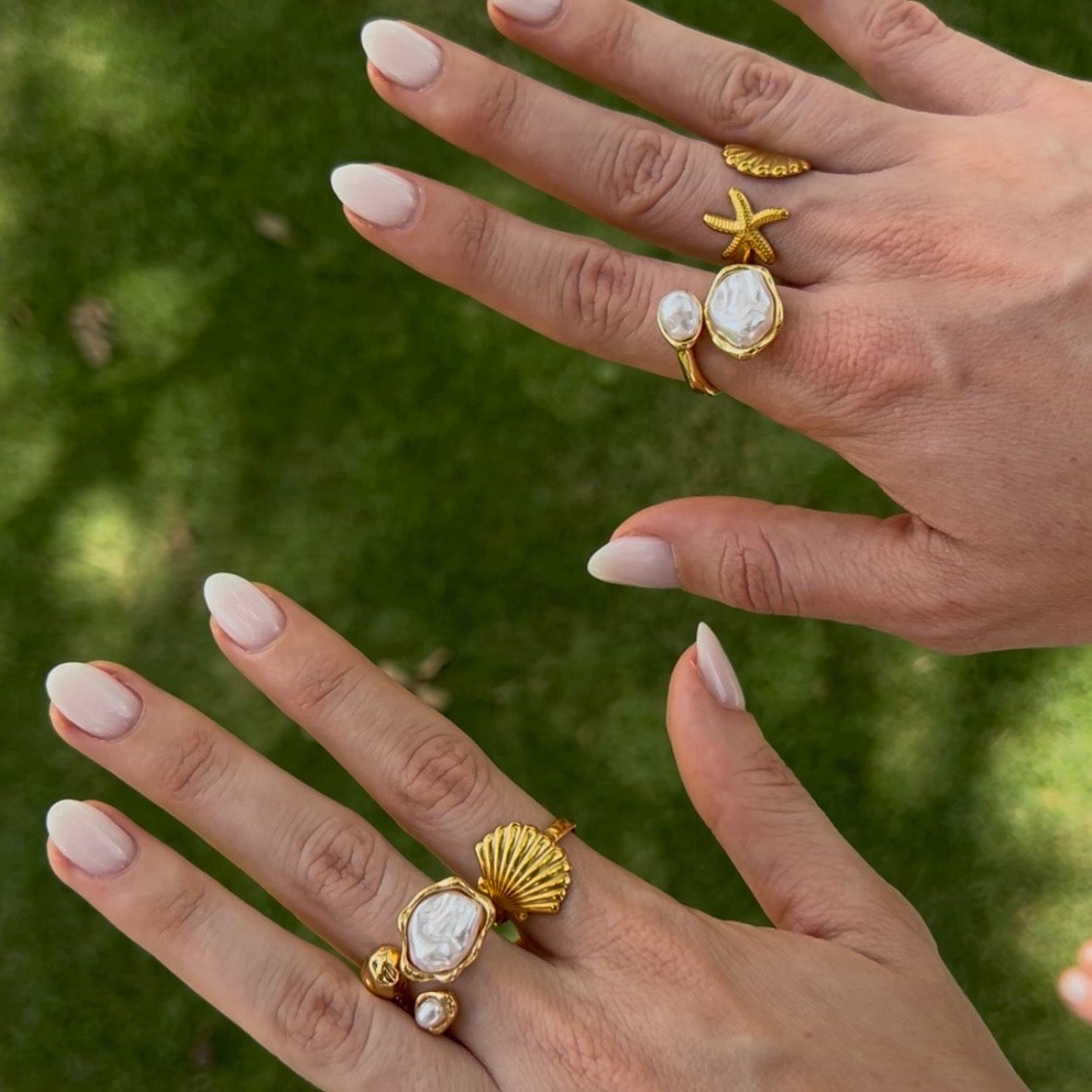 Anillo Drimia