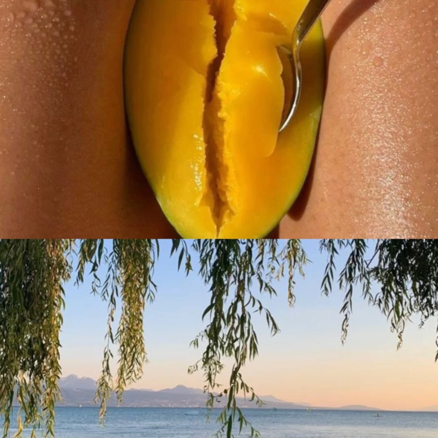 Collar Mango