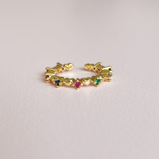 Anillo Dani