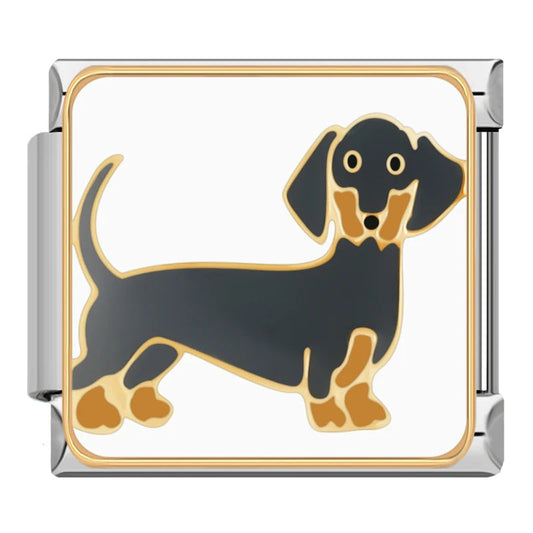 Charm Salchicha