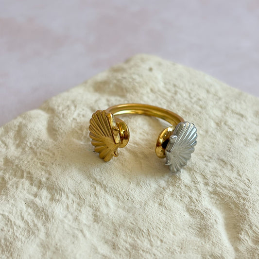 Anillo Chelem