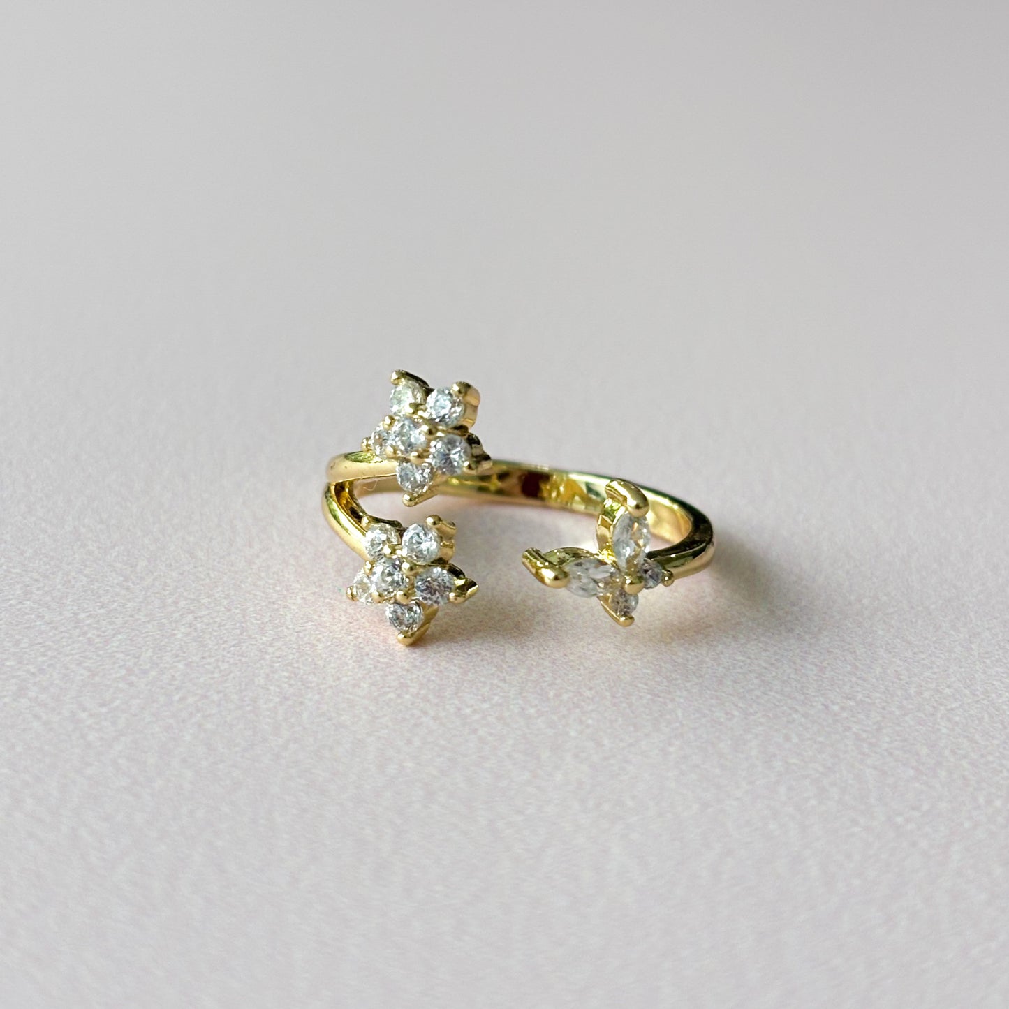 Anillo Violeta
