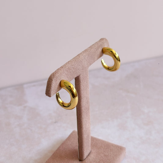 Aretes Inara