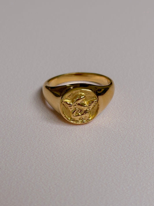 Anillo Ángel