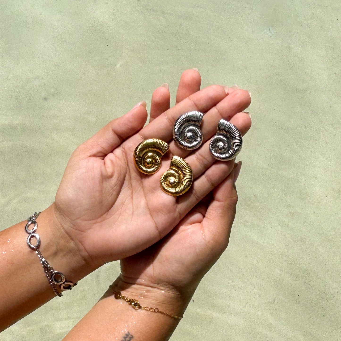 Aretes Caracol