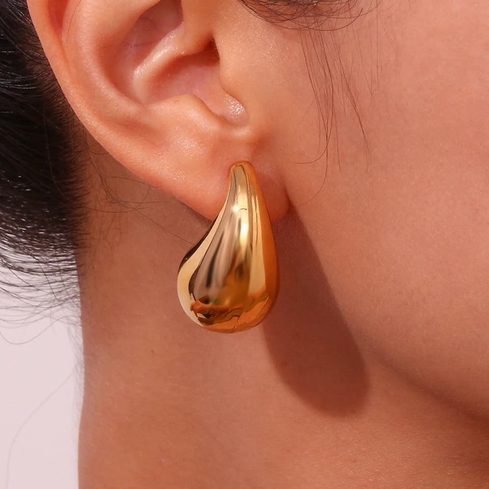 Botega XL earrings