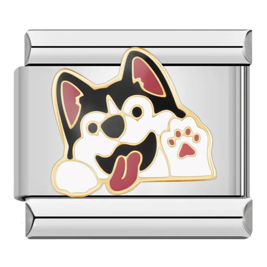 Charm Husky
